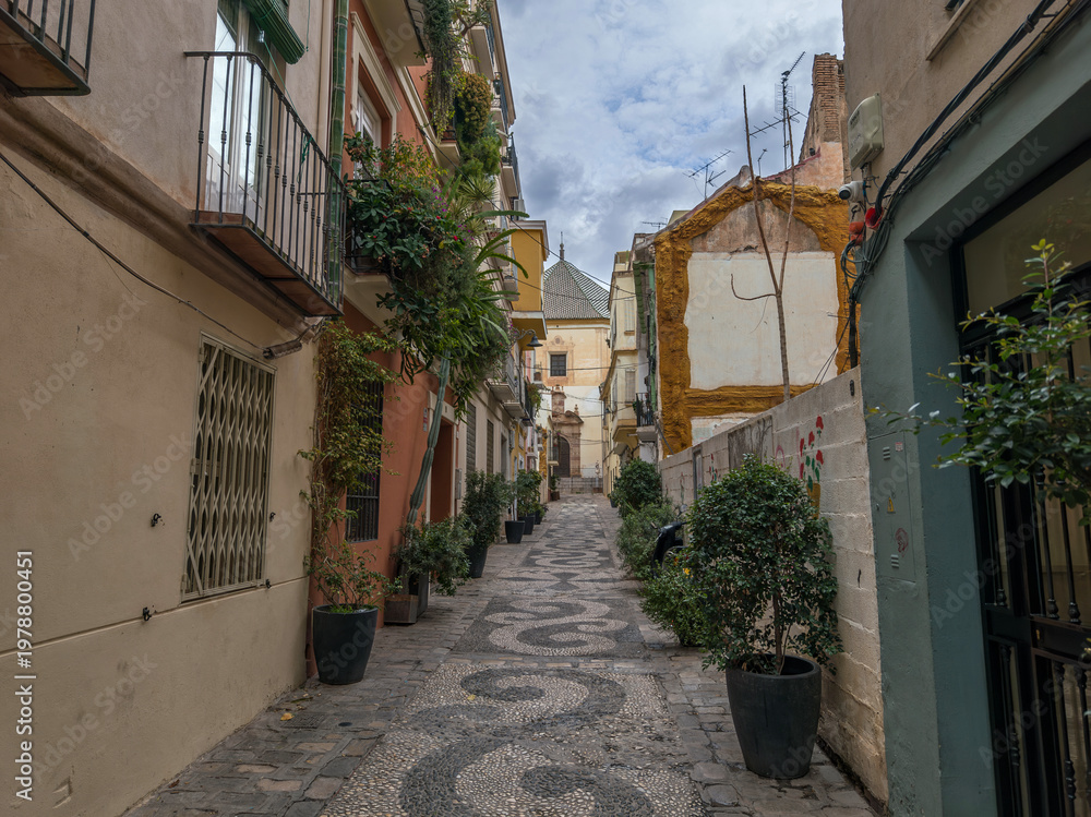 Obraz premium Picturesque narrow street in an old European town, adorned with intricate cobblestone mosaics and potted greenery.