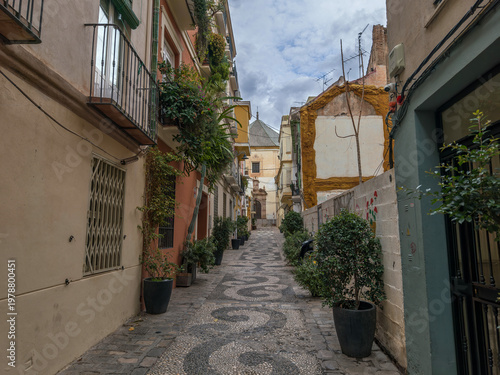 Picturesque narrow street in an old European town, adorned with intricate cobblestone mosaics and potted greenery.