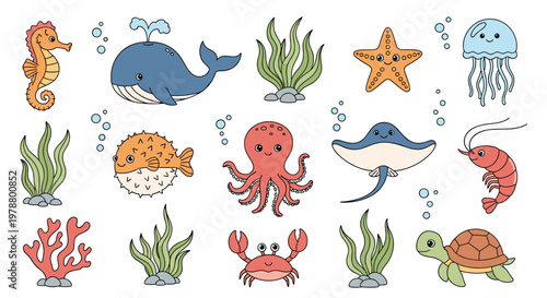 Diverse collection of colorful marine animals and plants including whales, octopuses, seahorses, and seaweed for educational sea life study.
