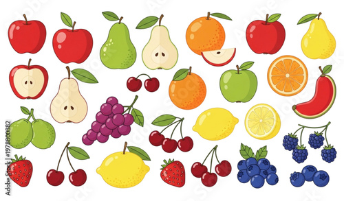 Big fruits and berries vector collection in cartoon style for summer illustrations