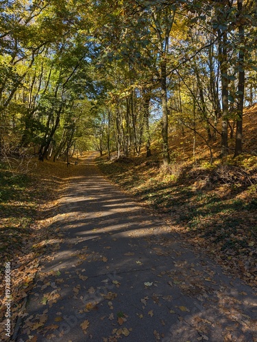 Narrow park path leading through a vibrant forest during the colorful autumn season of the year