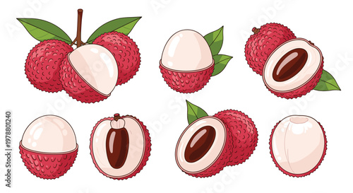 Set of fresh tropical lychee fruits whole and cut in half showing the white juicy pulp and brown seed inside the fruit.