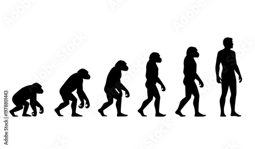 Evolution of man vector illustration from primate to modern human sequence
