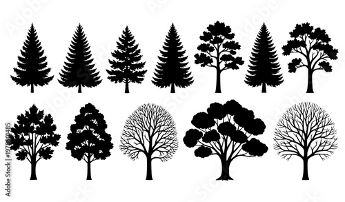 Tree silhouette vector set with coniferous evergreen and deciduous forest trees