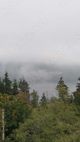 Boats Slowly Emerge from Dense Fog Shrouding a Serene, Misty Bay in British Columbia, Canada