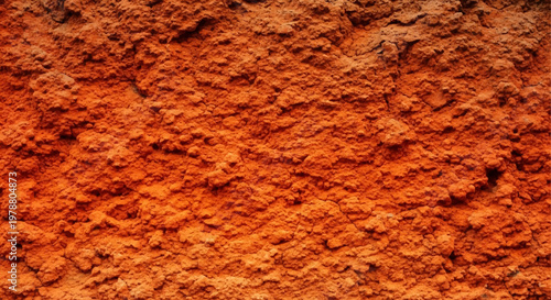 A close-up view of textured, reddish-orange earth or clay surface.