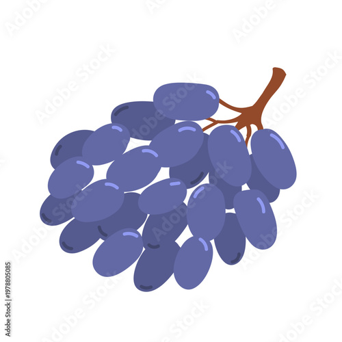 Blue grape on twig in flat cartoon design. Vector illustration isolated