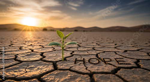 A small green plant grows in dry cracked earth with the word hope