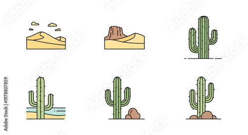 Collection of various cactus plants.