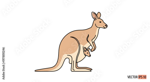 Mother kangaroo with joey in pouch.