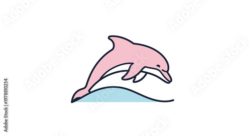 Pink Dolphin Swimming In Water.
