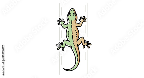 Colorful lizard climbing up wall outdoors.