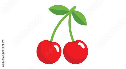 A vibrant illustration depicts two plump ripe cherries hanging from a single gently curving green stem