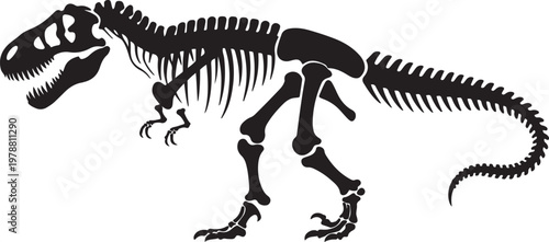 T rex dinosaur skeleton negative space silhouette vector illustration with out background