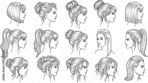 Hand-Drawn Hairstyle Collection Featuring Various Ponytails, Buns, and Haircuts for Fashion and Beauty Illustrations