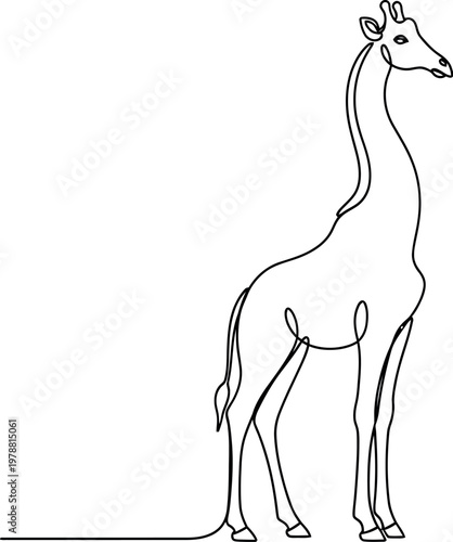 Elegant giraffe illustrated with a single continuous black line on a white background showing a minimalist artistic approach to this tall and majestic african creature