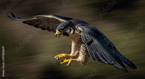 Majestic peregrine falcon flies with outstretched wings and sharp talons extended as it prepares to strike its prey during a fast hunt in the wild