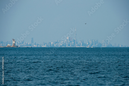Photography Calm blue waters of Lake Ontario lead to a distant Toronto skyline dominated by the CN Tower, creating an atmospheric urban waterfront scene with boats, birds and hazy summer light