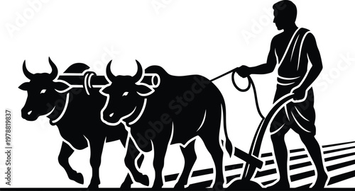 Farmer plowing field with two oxen and a traditional plow on white background Keywords: farmer, plowing