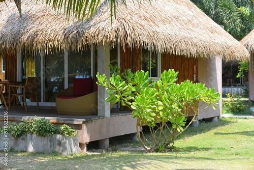 Lush Coastal Vegetation in Front of Traditional Thatched Roof Villa