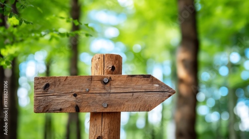 Wooden Sign Points Right Towards an Orange Camping Tent in a Forest Setting N...