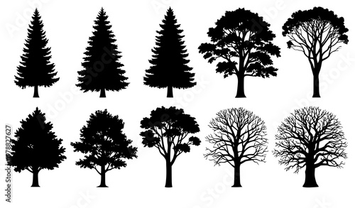 Forest tree silhouettes vector collection with pine fir and deciduous trees