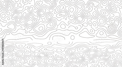 Topographic map illustration with contour lines on white background  abstract geographic design  terrain visualization
