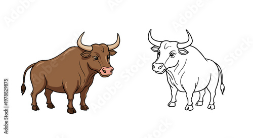 Brown bull and outline of bull for coloring book illustration  