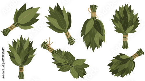 Collection of different green leafy bath brooms or veniks for sauna massage and traditional Russian banya on white.