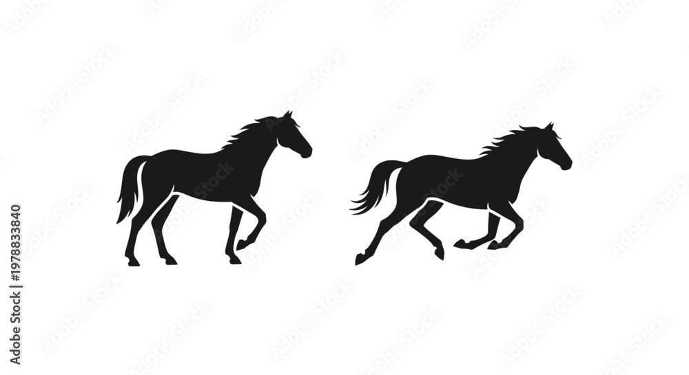 Fototapeta premium Two majestic horses depicted in a striking black silhouette