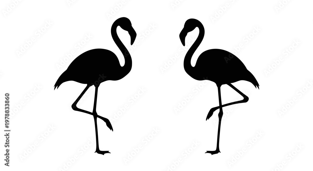 Fototapeta premium Two elegant flamingos standing gracefully a striking black silhouette