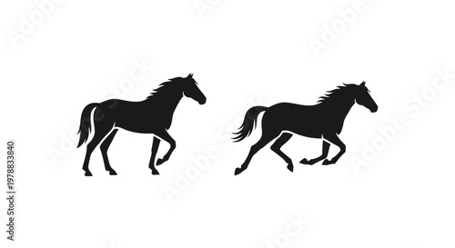 Two majestic horses depicted in a striking black silhouette