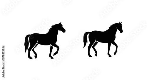 Two majestic horses captured in a striking black silhouette