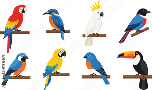 Colorful tropical bird vector set with parrot toucan cockatoo and exotic species perched illustration collection isolated design