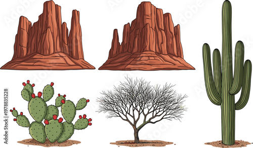 Desert landscape vector set with cactus rock formations and dry trees wild west nature illustration collection isolated design