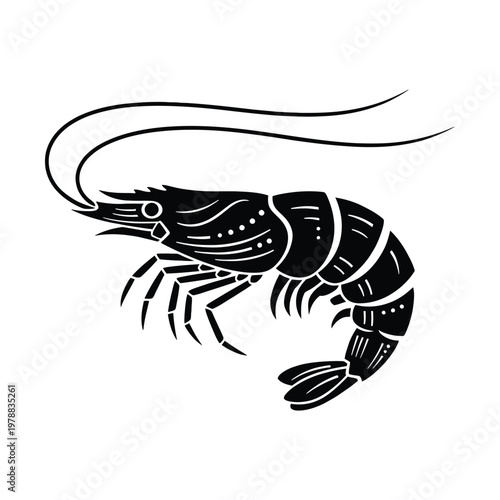 Black and white illustration of a shrimp with detailed anatomical features