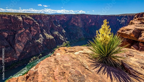 Flowering Yucca on Rocky Canyon Edge – blooming plant on cliffside above the river in Arizona desert landscape