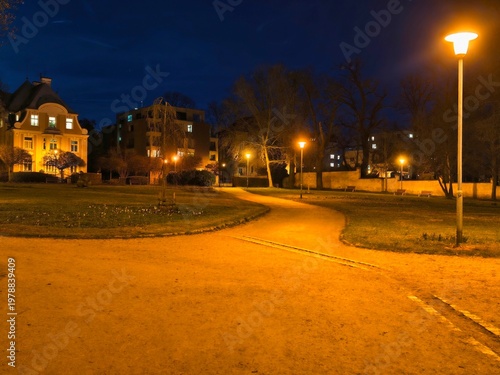 Obraz na plátně Leisurely stroll during evening under warm amber lights draws animals and humans