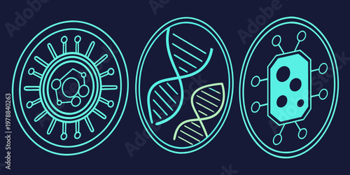 A vector graphic illustration of three biology icons representing cells and DNA