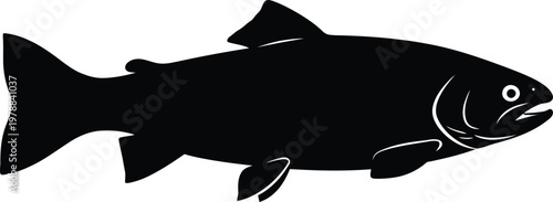 Fish vector illustration