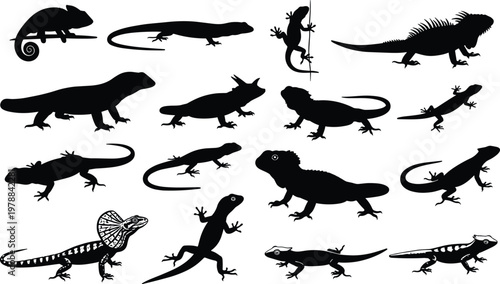 Vector illustration of diverse lizard silhouettes including chameleons, iguanas, geckos and reptiles in varied poses