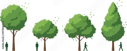 Vector illustration of different tree types with varied shapes and sizes shown with human silhouettes for scale