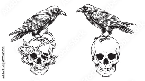 Gothic raven perched on skull hand drawn illustration for tattoo art, dark fantasy merchandise, and horror themed design projects