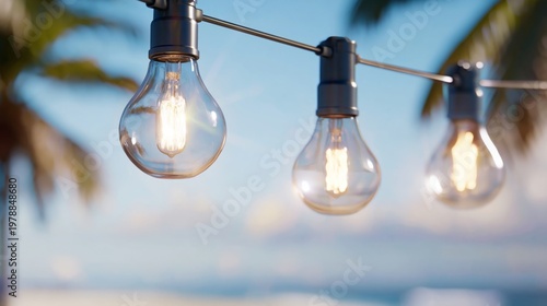 String Lights Hang in the Air Near Palm Trees by the Beach During Sunset