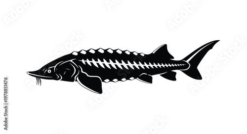 A striking black silhouette depicts the skeletal structure of a sturgeon showcasing its unique anatomy silhouette high quality professional detailed modern