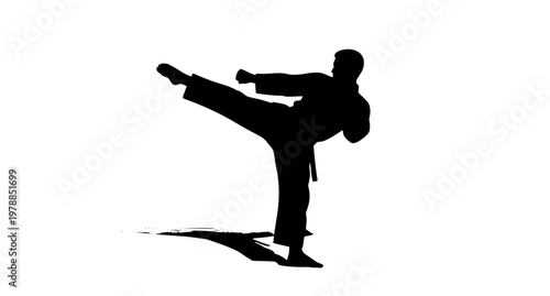 3D Black Silhouette of Man Practicing Martial Arts Vector Illustration