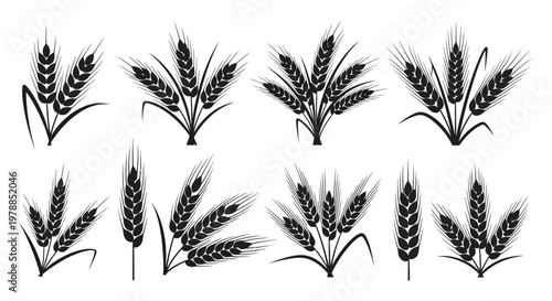 A collection of stylized black wheat stalks and ears of grain depicted in a bold silhouette high quality professional detailed modern