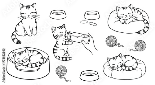 A drawing shows a playful kitten being fed from a bottle by a gentle hand.
