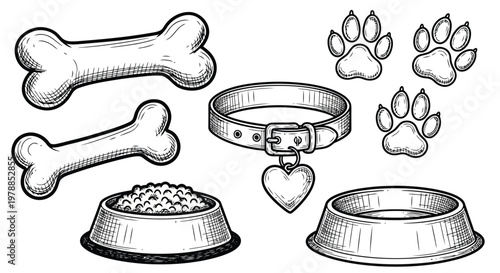 A sketched collection of dog accessories includes bones, a collar with a heart charm, and food bowls.