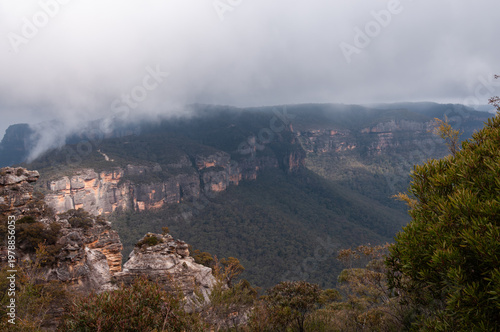 Quadro su tela Blue Mountain, Australia, valley with cliffs and forest covered slopes, low clouds drifting over landscape, dramatic scenery, natural background, misty mountains, travel destination view